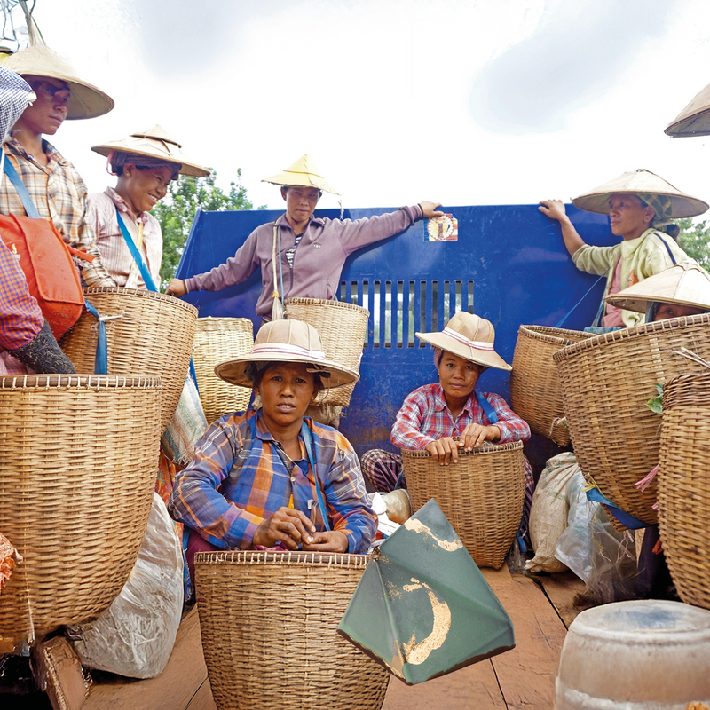 Ingwer | Myanmar